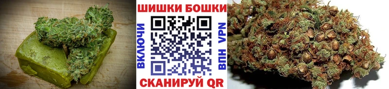 цены   Шумиха  Canna-Cookies марихуана 
