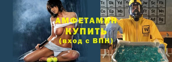 молекула духа Богданович