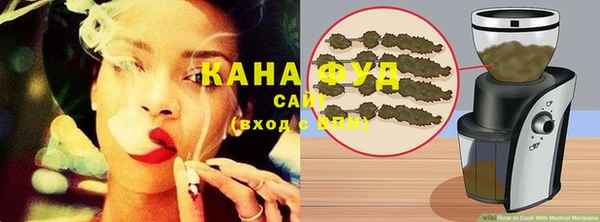 молекула духа Богданович
