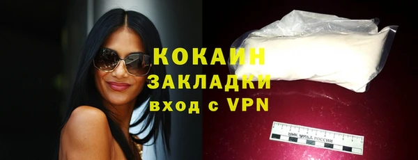 молекула духа Богданович