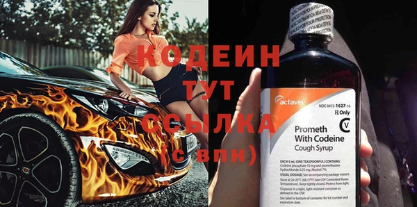 молекула духа Богданович