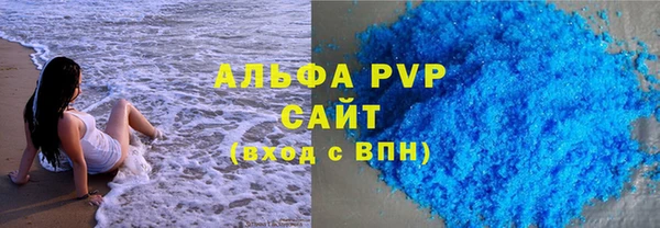 молекула духа Богданович