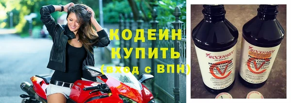 молекула духа Богданович