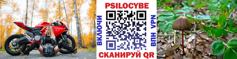 Галлюциногенные грибы мицелий  где купить наркотик  Шумиха 